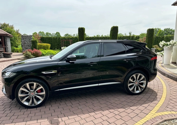 Jaguar F-Pace cena 149900 przebieg: 55000, rok produkcji 2016 z Górzno małe 781